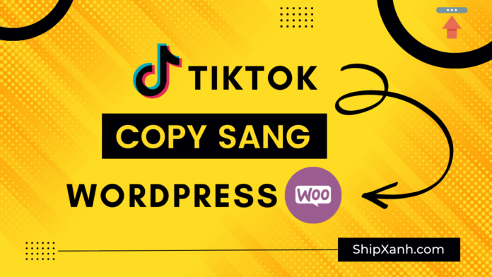 copy tiktok sang wordpress