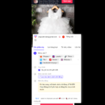 Cách copy sản phẩm từ Tiktok shop của đối thủ Hướng dẫn copy sản phẩm từ Tiktok shop của đối thủ