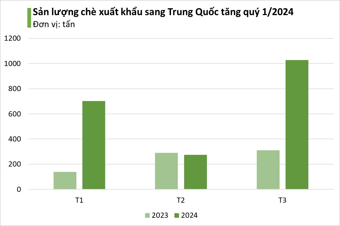 Sở hữu diện tích trồng lớn gấp 14 lần, Trung Quốc vẫn ồ ạt gom "kho vàng xanh" của Việt Nam, xuất khẩu tăng mạnh hơn 200% - Ảnh 3.