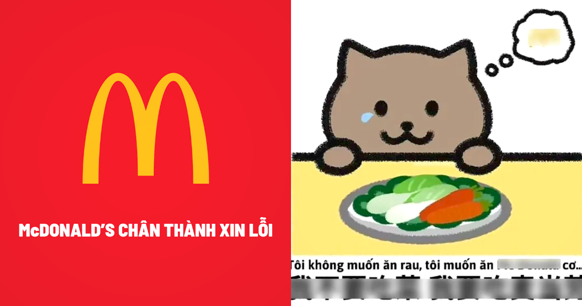 McDonald’s Việt Nam lên tiếng xin lỗi vì lấy câu chuyện thương tâm của game thủ Trung Quốc để quảng cáo mã giảm giá - Ảnh 1.