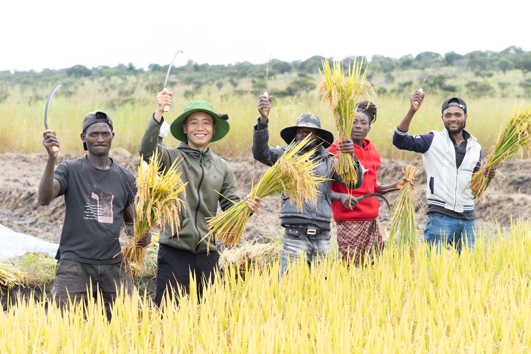 Phạm Quang Linh (thứ hai từ trái sang) thu hoạch lúa cùng người dân Angola, châu Phi. Ảnh: Quang Linh Vlogs