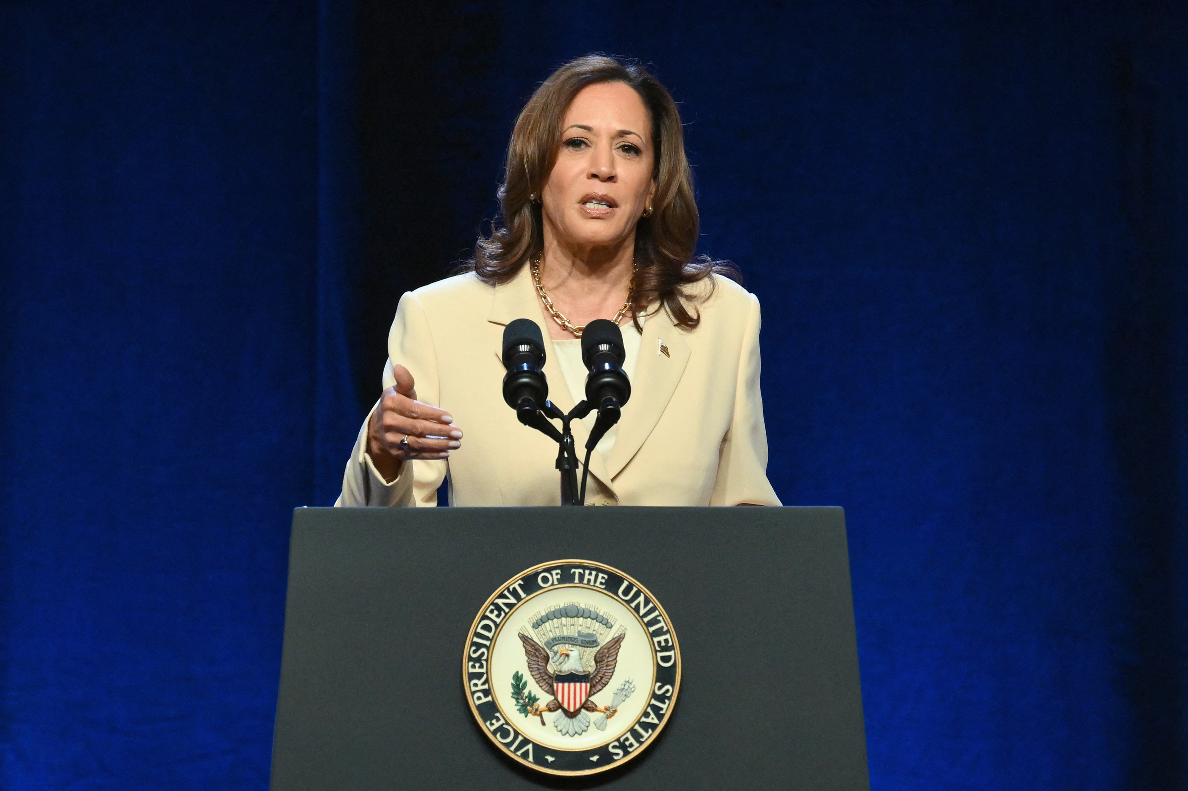 Phó tổng thống Mỹ Kamala Harris phát biểu tại New York ngày 21/6. Ảnh: AFP