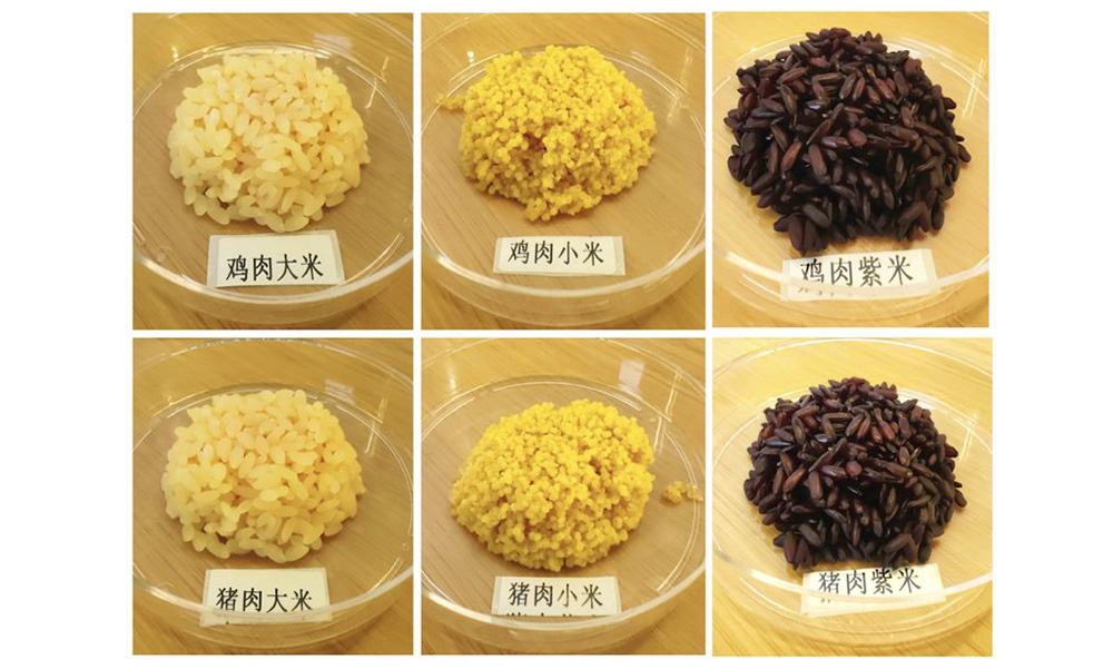 Các nhà khoa học Trung Quốc phát triển gạo thịt lợn, gạo thịt gà. Ảnh: China Daily
