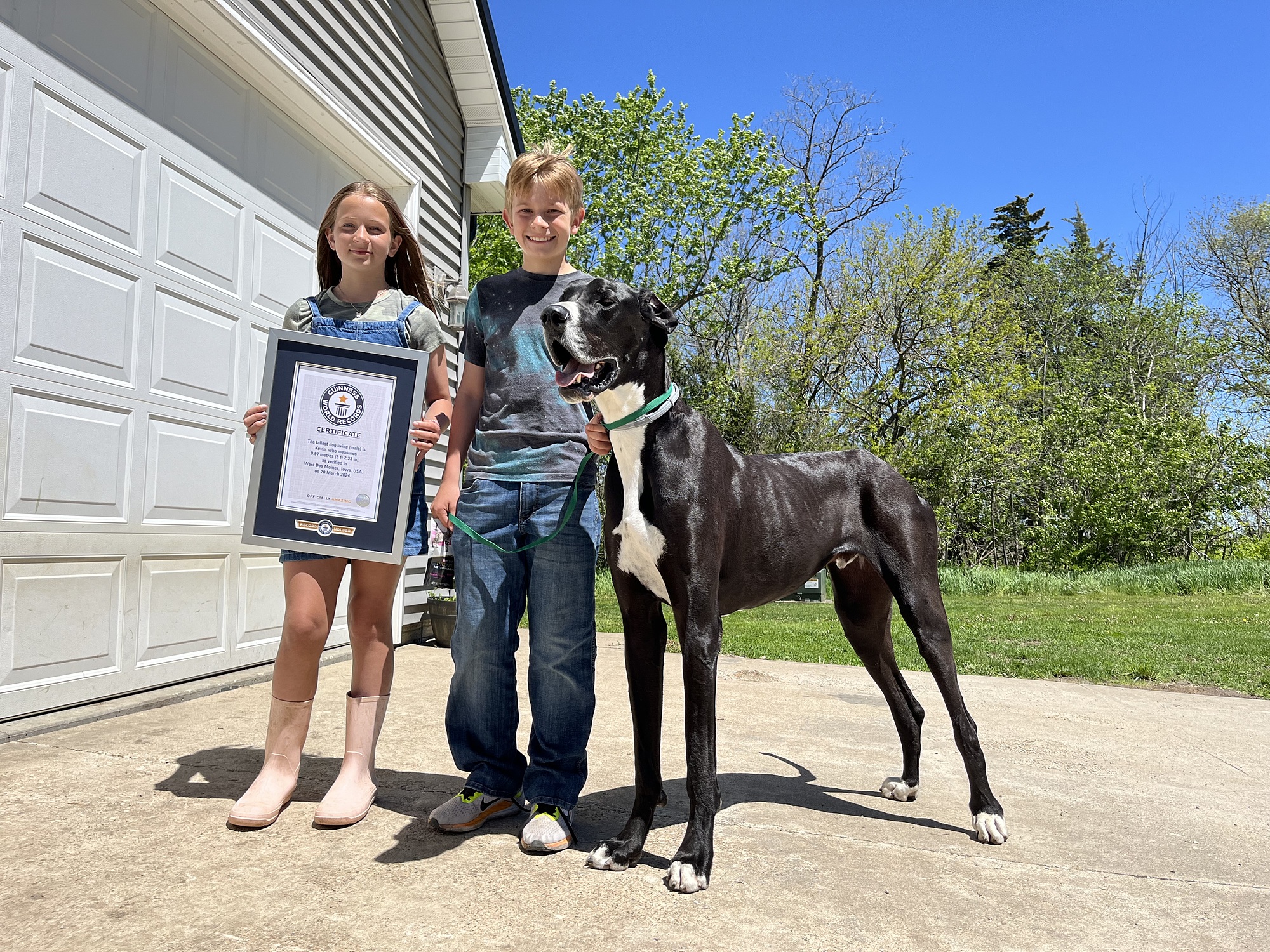Chó Kevin nhận chứng nhận Kỷ lục Guinness hồi tháng 3. Ảnh: Guiness