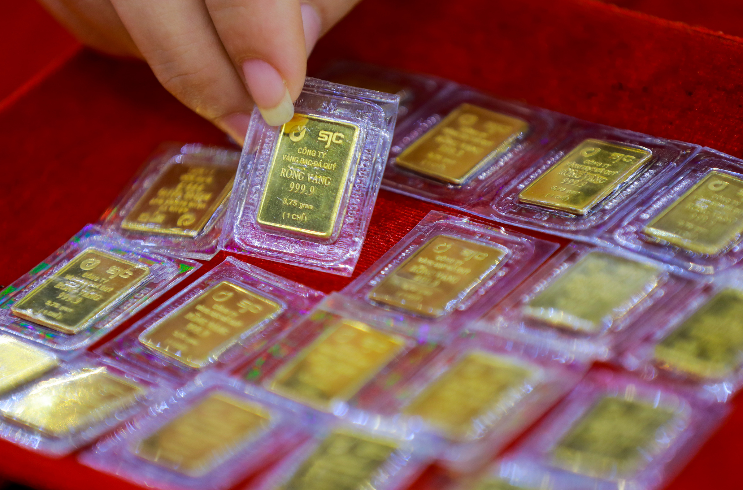 Vàng SJC được bày bán ở cửa hàng quận Bình Thạnh, TP HCM năm 2020 khi giá vàng chỉ hơn 49 triệu đồng một lượng. Ảnh: Quỳnh Trần