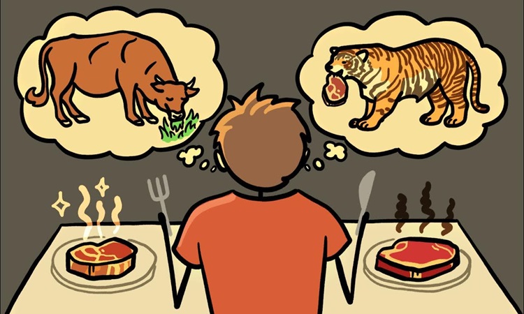 Tại sao con người ít ăn động vật ăn thịt?