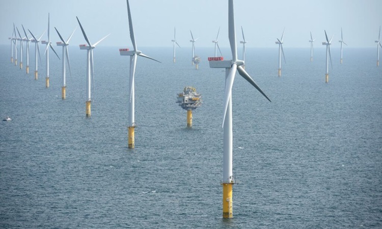 Trang trại điện gió ngoài khơi Dogger Bank đang được xây dưng trên Biển Bắc. Ảnh: SSE