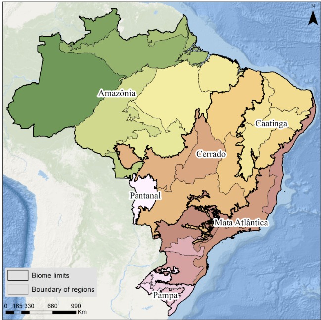 Sự phân bổ các quần xã sinh vật ở Brazil. Ảnh: Brazil.MapBiomas