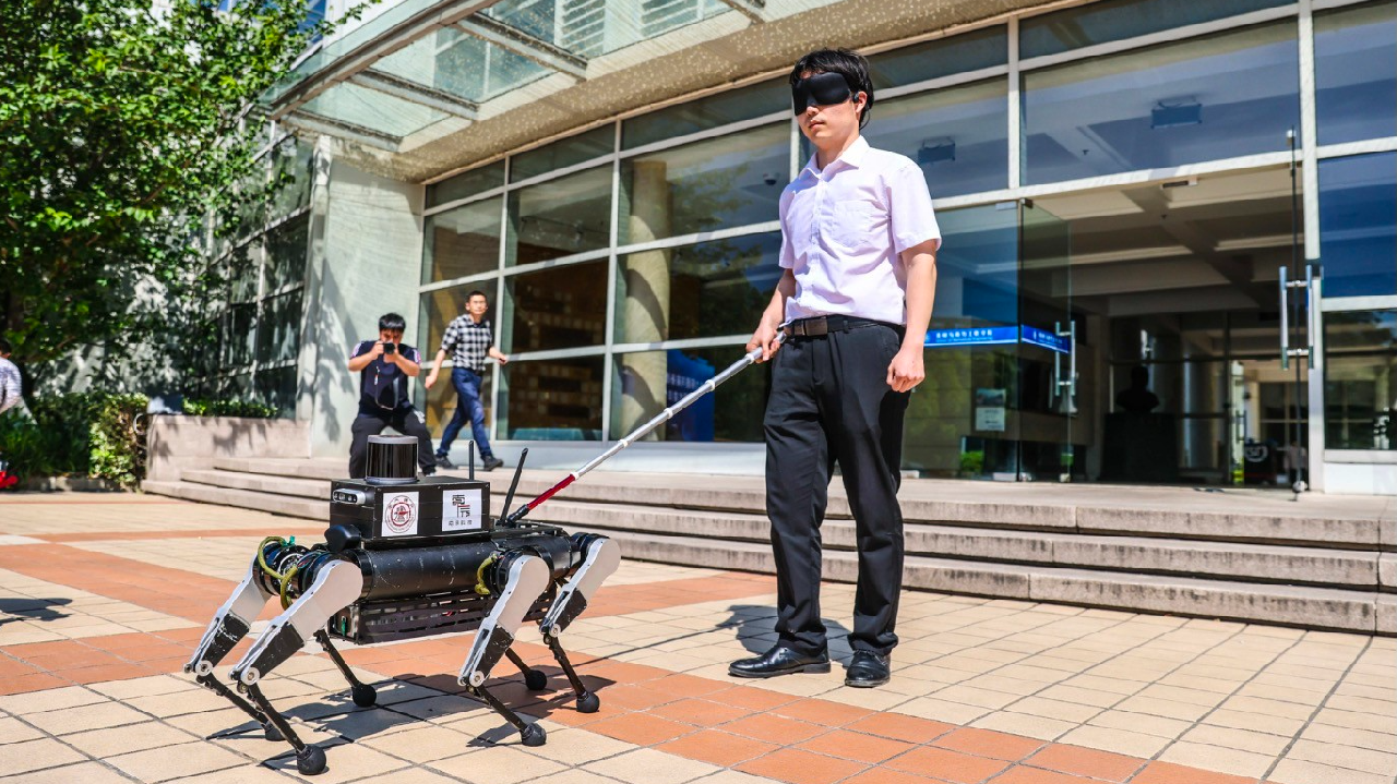 Chó robot dẫn đường được thử nghiệm tại Thượng Hải, Trung Quốc ngày 2/6. Ảnh: Đại học Giao thông Thượng Hải