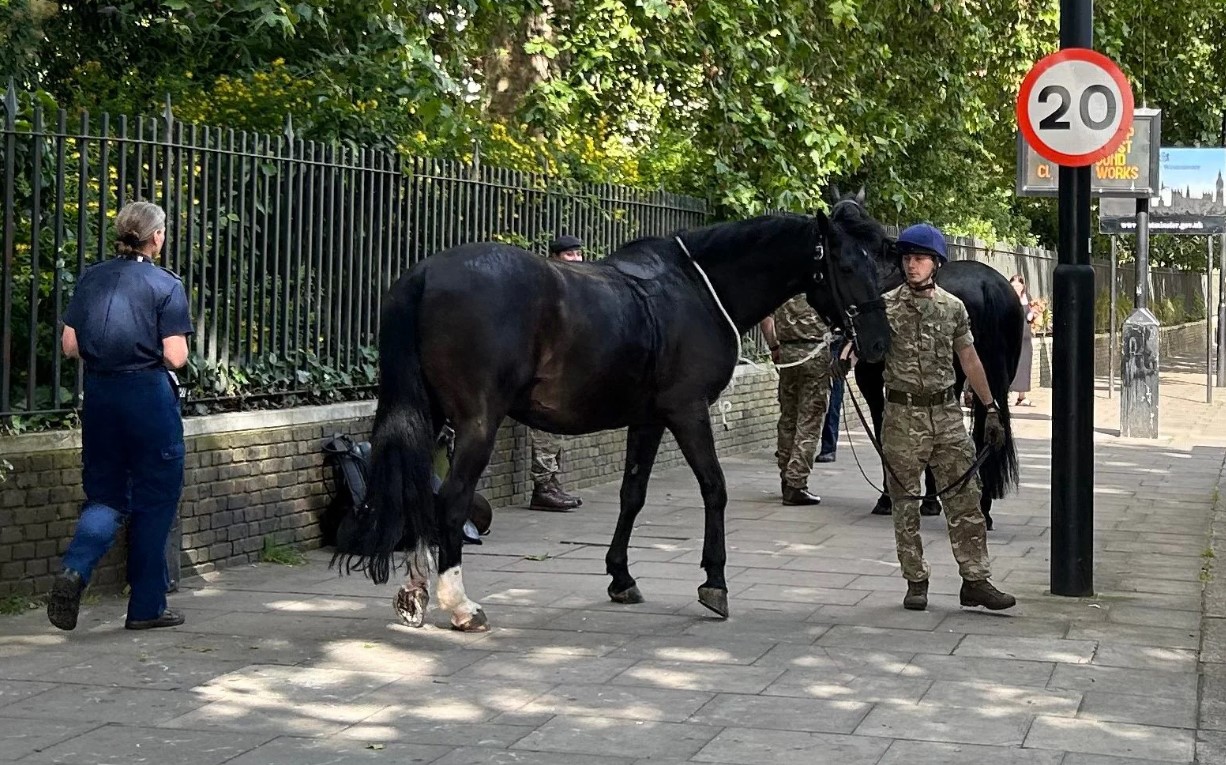 Quân nhân Anh thuần phục một trong ba con ngựa kỵ binh hoảng loạn vào ngày 1/7 ở London. Ảnh: Telegraph